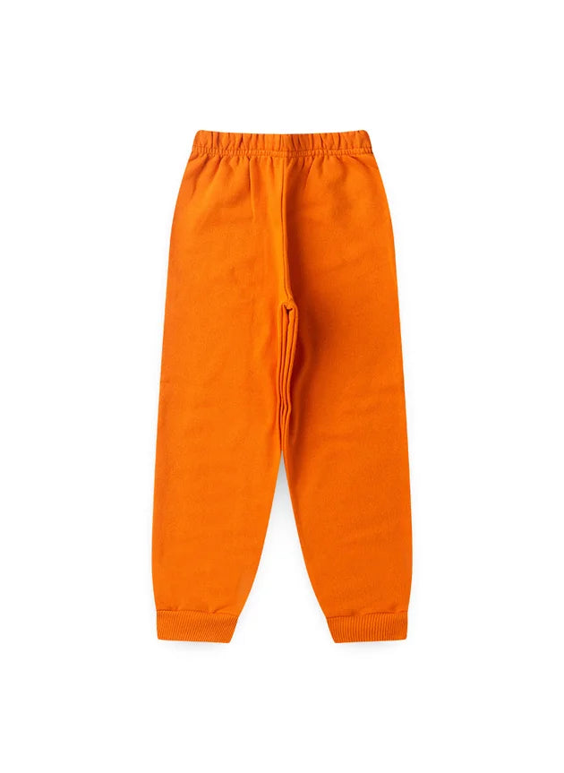 Conjunto Moletom Infantil Feminino Jardim Colorido – Inverno LiroKids